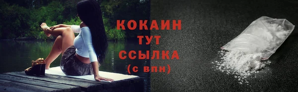 гашик Арсеньев