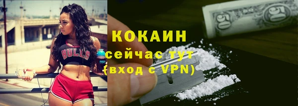гашик Арсеньев