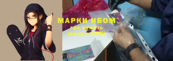 гашик Арсеньев