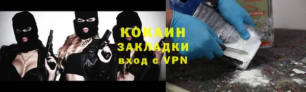 гашик Арсеньев