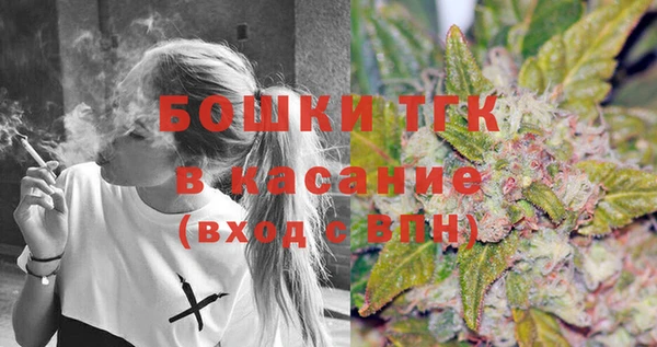 гашик Арсеньев