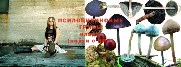 гашик Арсеньев