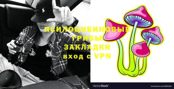 гашик Арсеньев