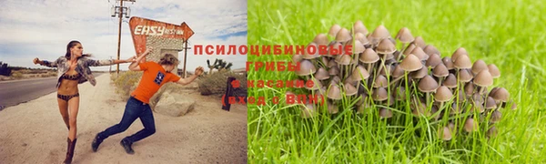 метамфетамин Аркадак