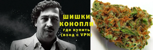 гашик Арсеньев