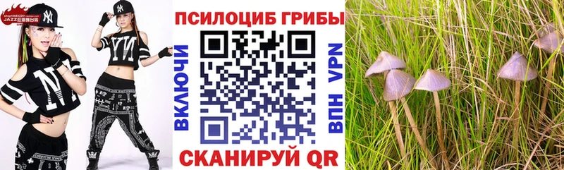 Галлюциногенные грибы Cubensis Купить Нерехта